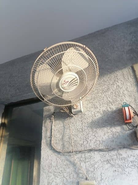 Royal fan for sell 1