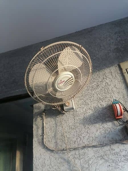 Royal fan for sell 2