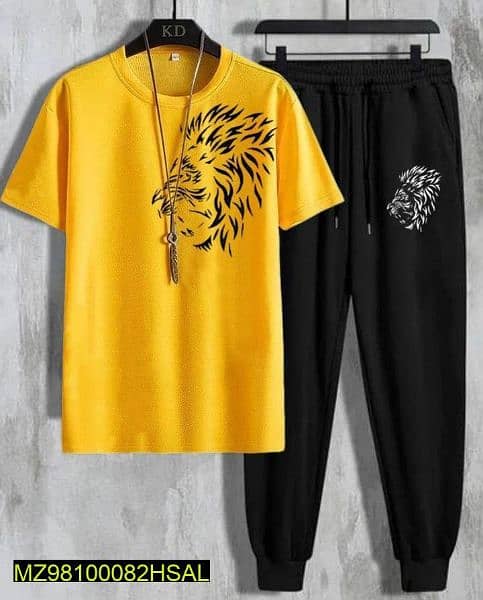 Tracksuit and 2 PC trouser and shirt (delivery all over Pakistan) 7