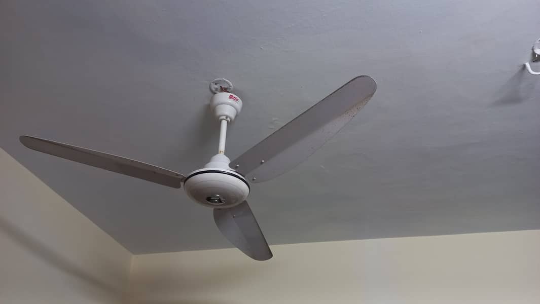 Millat Fans brand new Condition 1