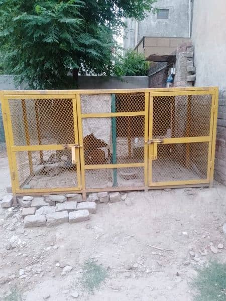 cage for hens, birds, dogs 1