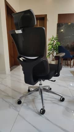 Imported Ergonomic Chair