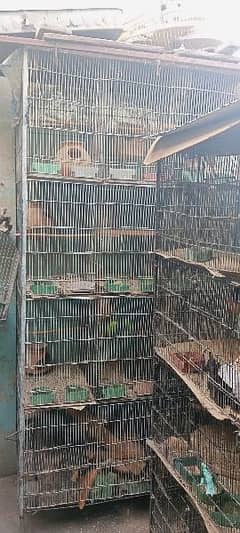 Cage For sale location korangi Karachi 4 
03147727422
