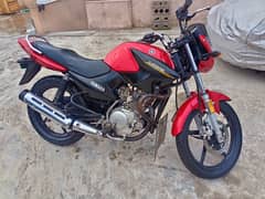 Yamaha YBR 125cc 0