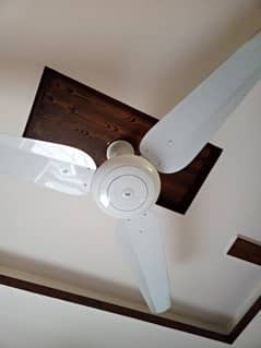 5 Ceiling fans for sale just like new