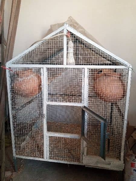 birds Cages 4