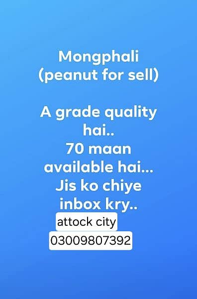 mongphali ( peanut for sell) 1
