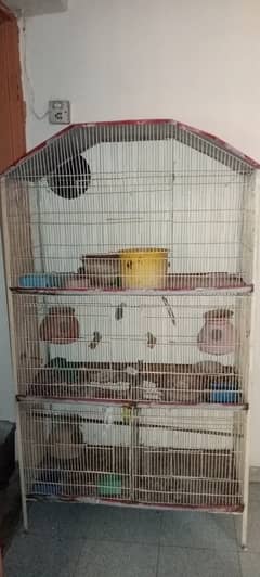 Cage 5 portion with silver java patha 1 pcs end austalian 1 pair