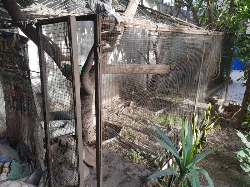 Very large hens cage  بہت بڑا مرغیوں کا پنجرا 1