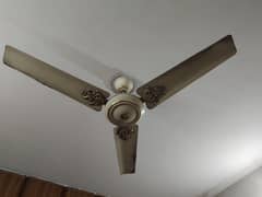 Ceiling Fans fan 99.9% Copper winding