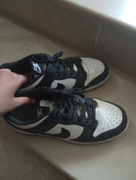 Nike pandas Jordans shoes 5