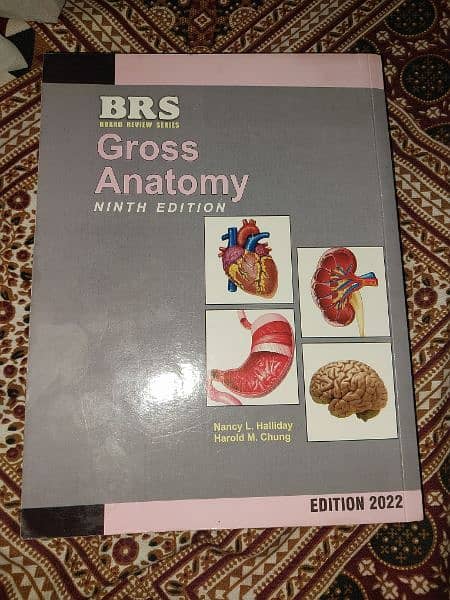 BRS gross anatomy 1