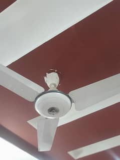 use Ceiling Fans