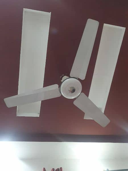 use Ceiling Fans 1