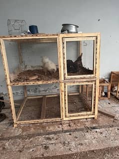 Big breeding cages for hen 4x6 Ft