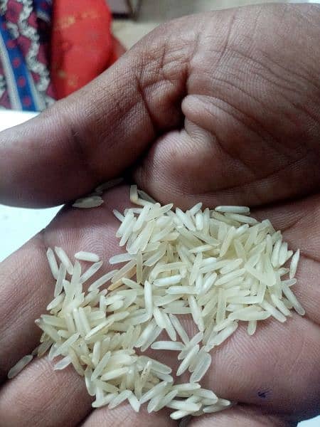 Narowal rice 1