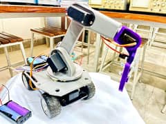 Rover Arm bot