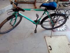 phonix bicycle