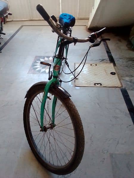phonix bicycle 1