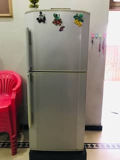 Haier Medium Size Refrigerator 0
