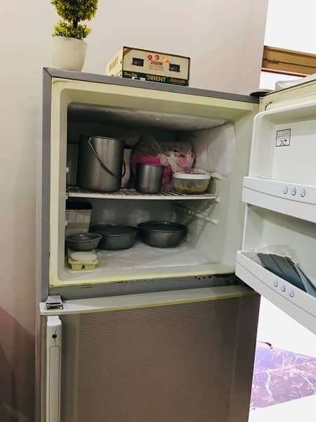 Haier Medium Size Refrigerator 4