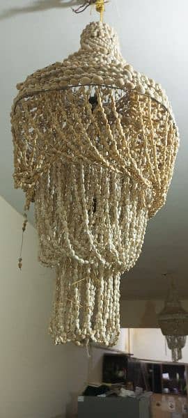 "CHANDLIER" Unique Vintage Cowrie Shell Hanging Light 4