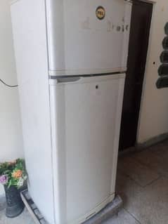 Pel Medium Refrigerator