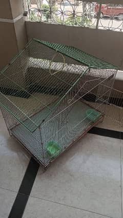 Master Bird Cage