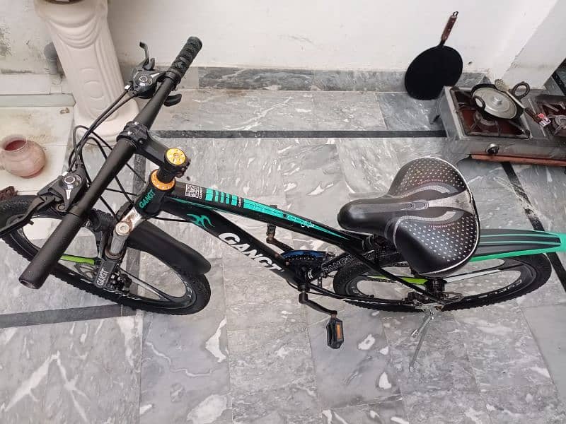 BMX GANGT Imported Bicycle 10