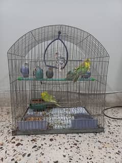 Australian parrot 9 Pieces with cage