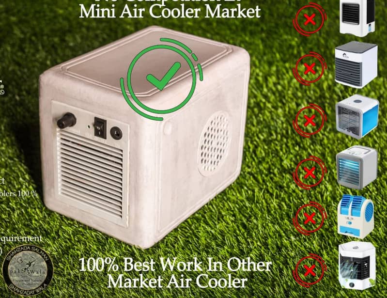 Natural Mini Air Cooler 1