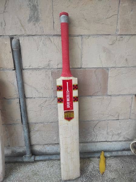 English willow imported hardball bat 1
