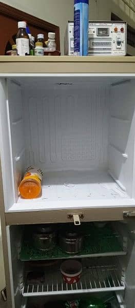 Pel Refrigerators For sell 2