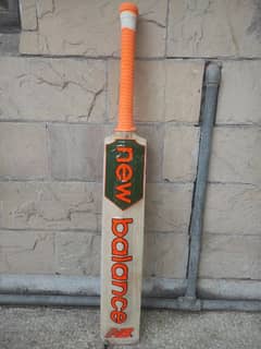 English Willow imported hard ball bat