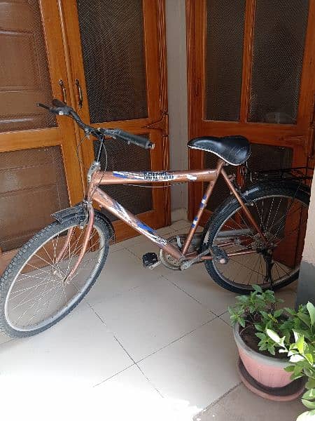 Sohrab Bicycle 1