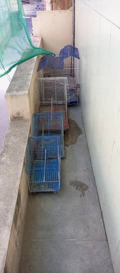 Birds Cages for sale