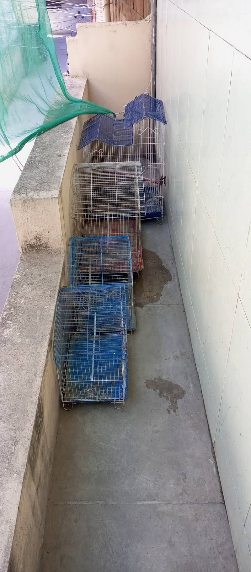 Birds Cages for sale 1