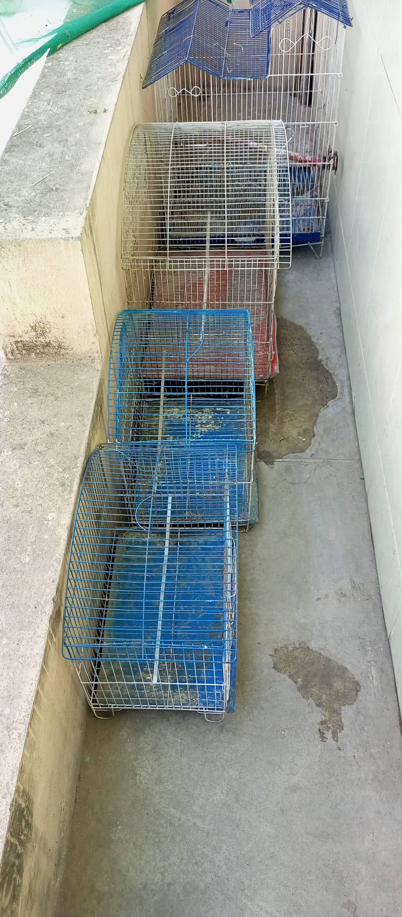 Birds Cages for sale 2