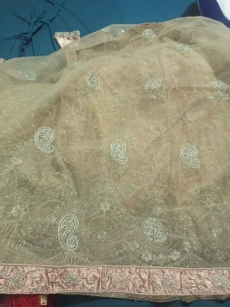 party wear lehnga 2