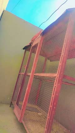 Cage for parrots 0