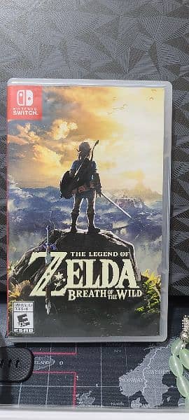 Zelda: Breath of the Wild 0