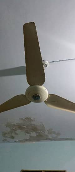 I want to Sale 2 AC FANS