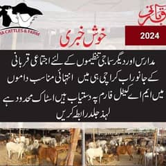 Ijtimai Qurbani animals for Welfares