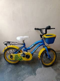 Kids Bicycle u/10 year