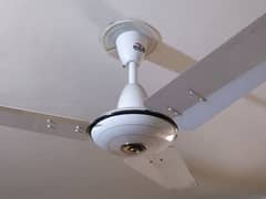 wahid ceiling fan for sale