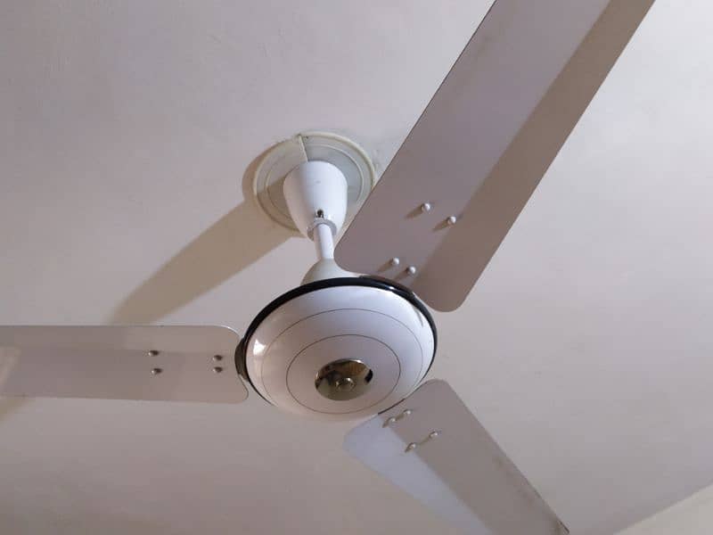 wahid ceiling fan for sale 4
