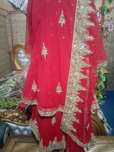 Bridal lehnga/Nikkah wear/shirt/Plazo 3