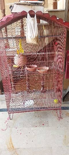 Bird Cage With Parrot 0