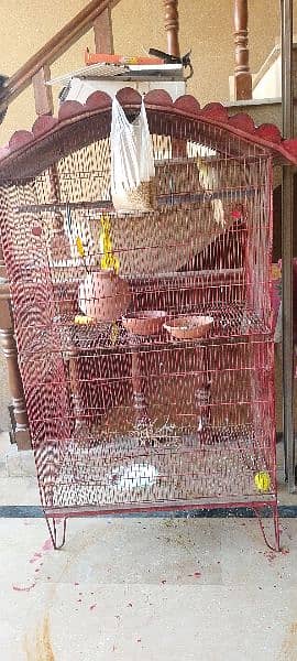 Bird Cage With Parrot 3