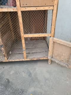 cage for pigeons